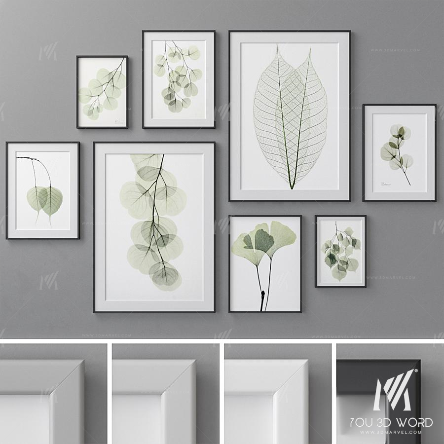 Photo Frames Set 462